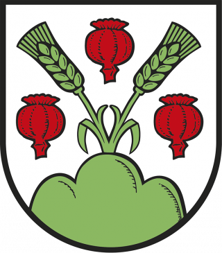 Wappen der Gemeinde Wahlheim