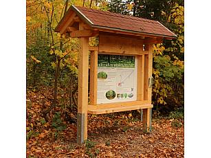 Ruheforst im Vorholzwald bei Offenheim