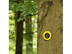 Ruheforst im Vorholzwald bei Offenheim