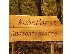Ruheforst im Vorholzwald bei Offenheim