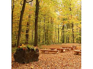 Ruheforst im Vorholzwald bei Offenheim