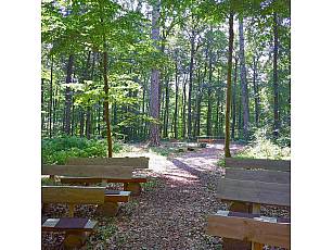 Ruheforst im Vorholzwald bei Offenheim