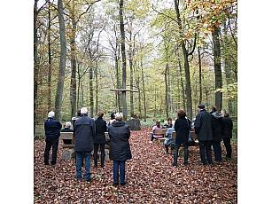 Ruheforst im Vorholzwald bei Offenheim