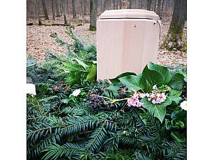 Ruheforst im Vorholzwald bei Offenheim