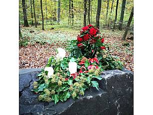 Ruheforst im Vorholzwald bei Offenheim