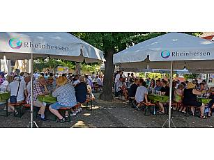 Weinprobe im Schatten