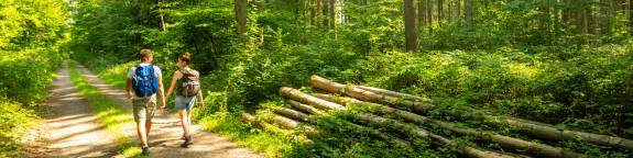 Wanderer im Vorholz